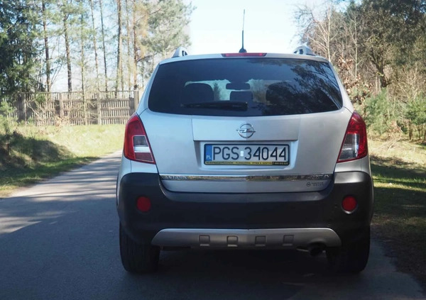 Opel Antara cena 31900 przebieg: 259800, rok produkcji 2012 z Brańsk małe 742